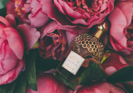 Perfumy damskie na różne okazje: Wesele, impreza, rozmowa kwalifikacyjna