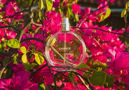Świeże, owocowe perfumy przyniosą Ci letni nastrój nawet zimą. Po które sięgnąć?