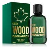 Dsquared2 Green Wood Pour Homme Woda toaletowa 100ml