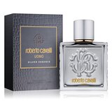 Roberto Cavalli Uomo Silver Essence Woda toaletowa