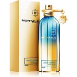 Montale Aoud Lagoon Woda perfumowana, 100ml
