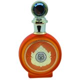 North Stag Expressions IV Quarte Woda perfumowana 100ml