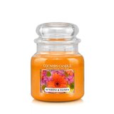 Country Candle Sunshine & Daisies świeca zapachowa średnia z 2 knotami (453 g)