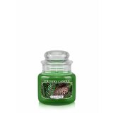 Country Candle Balsam Fir świeca zapachowa mini 1-knot (104 g)