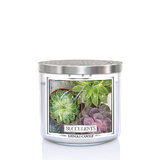 Kringle Candle TUMBLER Succulents świeca zapachowa z 3 knotami 411g
