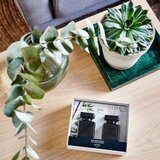 Dyfuzor ipuro Essentials Black Bamboo 2x50ml w pudełku prezentowym