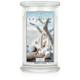 Kringle Candle Coral duża świeca zapachowa z 2 knotami (624 g)