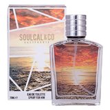Soulcal & Co For Him Brown Woda toaletowa 75ml