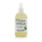 Instituto Español Gotas Frescas Woda kolońska 250 ml