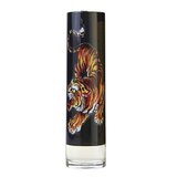 Christian Audigier Ed Hardy Men's Woda toaletowa 100ml