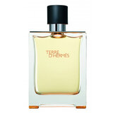 Hermes Terre D'Hermes Woda toaletowa - Tester 100ml