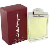 Salvatore Ferragamo Salvatore Ferragamo pour Homme Woda toaletowa, 100ml