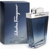 Salvatore Ferragamo Subtil Pour Homme Woda toaletowa 100ml