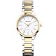 Bering 15630-701 Classic Titanium Ladies Watch 30mm 10ATM