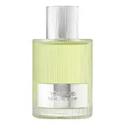 Tom Ford Beau de Jour Woda perfumowana 100ml