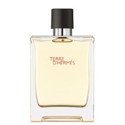 Hermes Terre D'Hermes Woda toaletowa - Tester