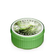 Świeca zapachowa Kringle Candle Balsam Fir (35 g)