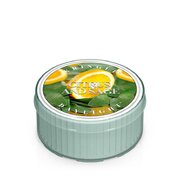 Świeca zapachowa Kringle Candle CITRUS & SAGE (35 g)