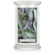 Kringle Candle Eucalyptus Mint duża świeca zapachowa z 2 knotami (624 g)