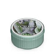 Świeca zapachowa Kringle Candle Eucalyptus Mint (35 g)
