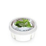 Wosk zapachowy Kringle Candle Fresh Mint (35 g)