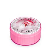 Świeca zapachowa Kringle Candle Peony (35 g)