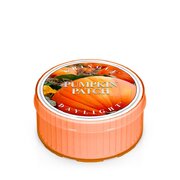 Świeca zapachowa Kringle Candle Pumpkin Patch (35 g)