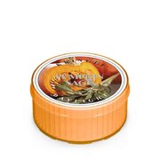 Świeca zapachowa Kringle Candle Pumpkin Sage (35 g)