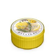 Kringle Candle Rosemary Świeca zapachowa Cytryna (35 g)