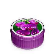 Świeca zapachowa Kringle Candle Sweet Pea (35 g)
