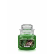 Country Candle Balsam Fir świeca zapachowa mini 1-knot (104 g)