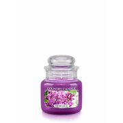 Country Candle Fresh Lilac świeca zapachowa mini 1-knot (104 g)