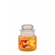 Country Candle Leaves świeca zapachowa mini 1-knot (104 g)