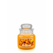 Country Candle Pumpkin Harvest świeca zapachowa mini 1-knot (104 g)