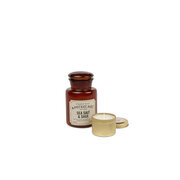 Świeca zapachowa Paddywax Apothecary SALT SEA & SAGE (8 uncji / 226 g)