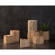 Paddywax WOODS SQUARE EUKALIPTUS I DRZEWO SANDAŁOWE (12 uncji / 340g)