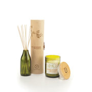 Dyfuzor Paddywax Eco Green BLOOD ORANGE & BERGAMOT (4 uncje / 118 ml)