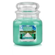 Country Candle Citrus & Seagrass średnia świeca zapachowa z 2 knotami (453 g)