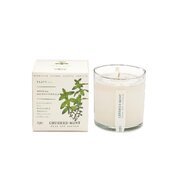 KOBO Plant the Box Crushed Mint świeca zapachowa (10oz / 283g)