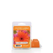 Wosk zapachowy Country Candle Sunshine & Daisies (64 g)
