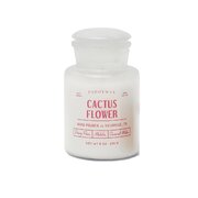 Paddywax FARMHOUSE Świeca zapachowa Cactus Flower (8oz /226g)