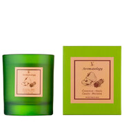 Vila Hermanos Aromathologie Cinnamon Apple świeca zapachowa 200g