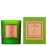 Świeca zapachowa Vila Hermanos Aromathologie Eucalyptus 200g