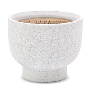 Świeca zapachowa Paddywax Cypress & Jodła w ceramicznym słoiczku (14 uncji / 396 g)