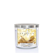 Kringle Candle TUMBLER Złota i Kaszmirowa świeca zapachowa z 3 knotami 411g