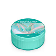 Kringle Candle Agave Pastel świeca zapachowa (42 g)