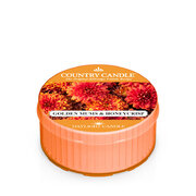 Świeca zapachowa Country Candle Golden Mums & Honey Crisp Tonka (42 g)
