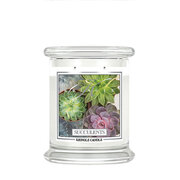 Kringle Candle Succulents świeca zapachowa średnia z 2 knotami (411 g)