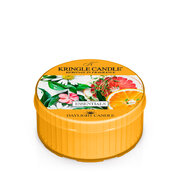 Kringle Candle Essentials świeca zapachowa świeca zapachowa (42 g)