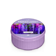 Kringle Candle Wisteria świeca zapachowa świeca zapachowa (42 g)